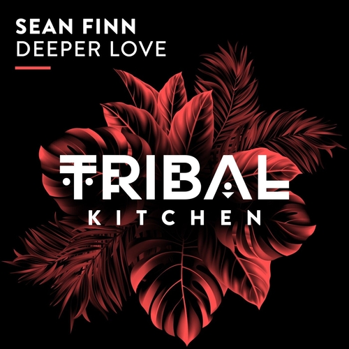 Sean Finn - Deeper Love [TK322]